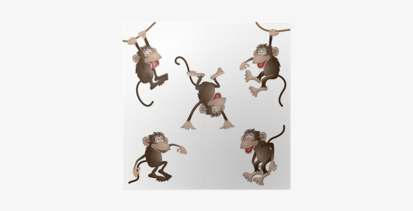 Macaco Pulando De Galho Em Galho, transparent png download