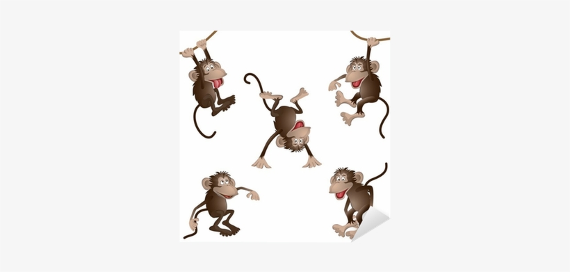 Macaco Pulando De Galho Em Galho, transparent png download