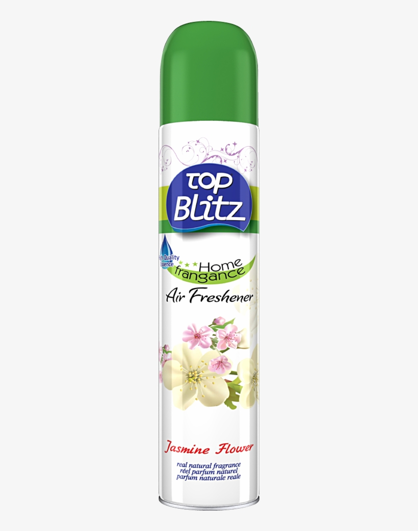 Fantasia, transparent png download