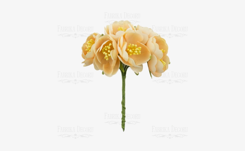 To - Цветы, transparent png download