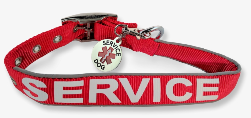 Service Dog Collar Tag - Dog, transparent png download
