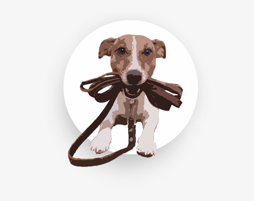 Are You Struggling To Find Pet Sitters And Dog Walkers - Dog Going For Walk, transparent png download