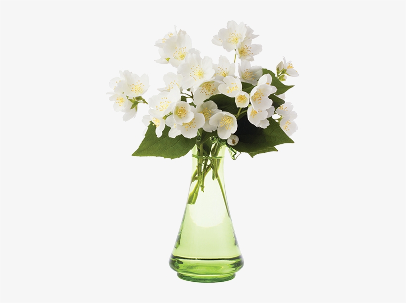 Stock Photography, transparent png download