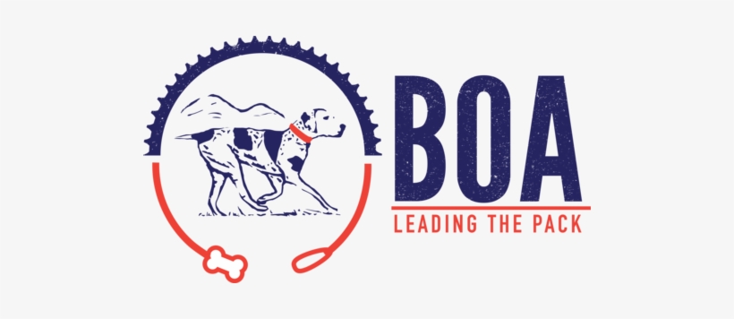 Boa Dog Leashes - R1563 Uniweld Brazing Torch Regulator, transparent png download