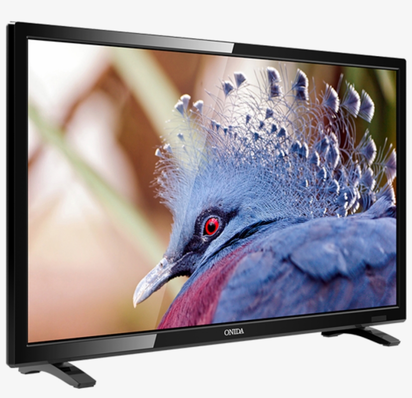 Picture Of Onida Led Leo24hb Hd - Onida Led 24 Leo24hb, transparent png download