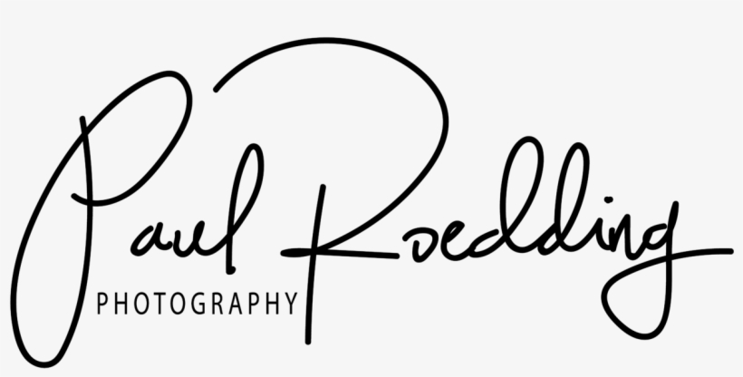 Cropped Paul Roedding Black High Res 1 - Calligraphy, transparent png download
