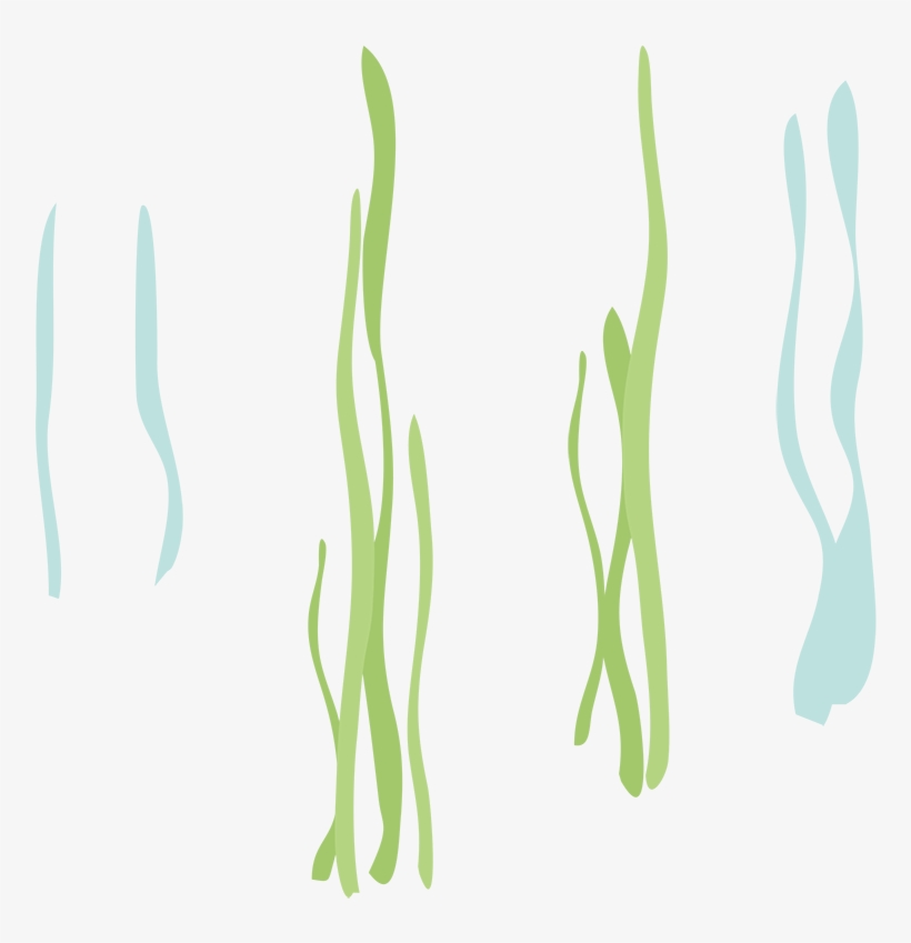 Reeds-2x - Calligraphy, transparent png download