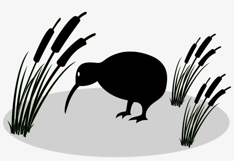 This Free Icons Png Design Of Kiwi And Reed, transparent png download