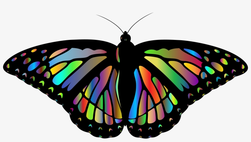 Monarch Butterfly Clipart Colorful Flying Butterfly - Alas De Mariposa Monarca Png, transparent png download