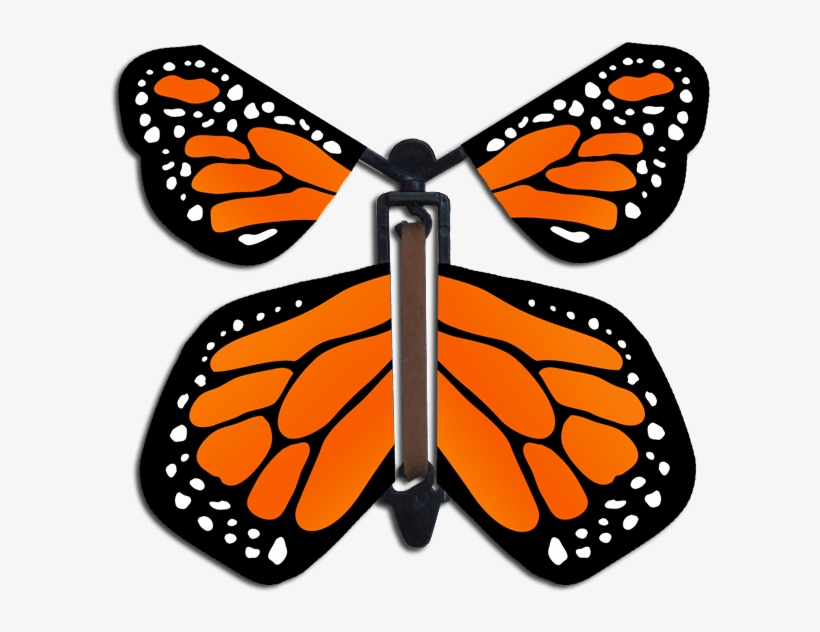 Orange Monarch Wind Up Flying Butterfly - Flying Butterfly Card, transparent png download