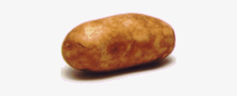 Couch Potato Runner - Much Likes Can This Get, transparent png download