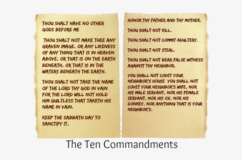 Did You Really Read Those If So, Certainly You Have - Thin Gold Line 911 Dispatcher Mousepad, transparent png download