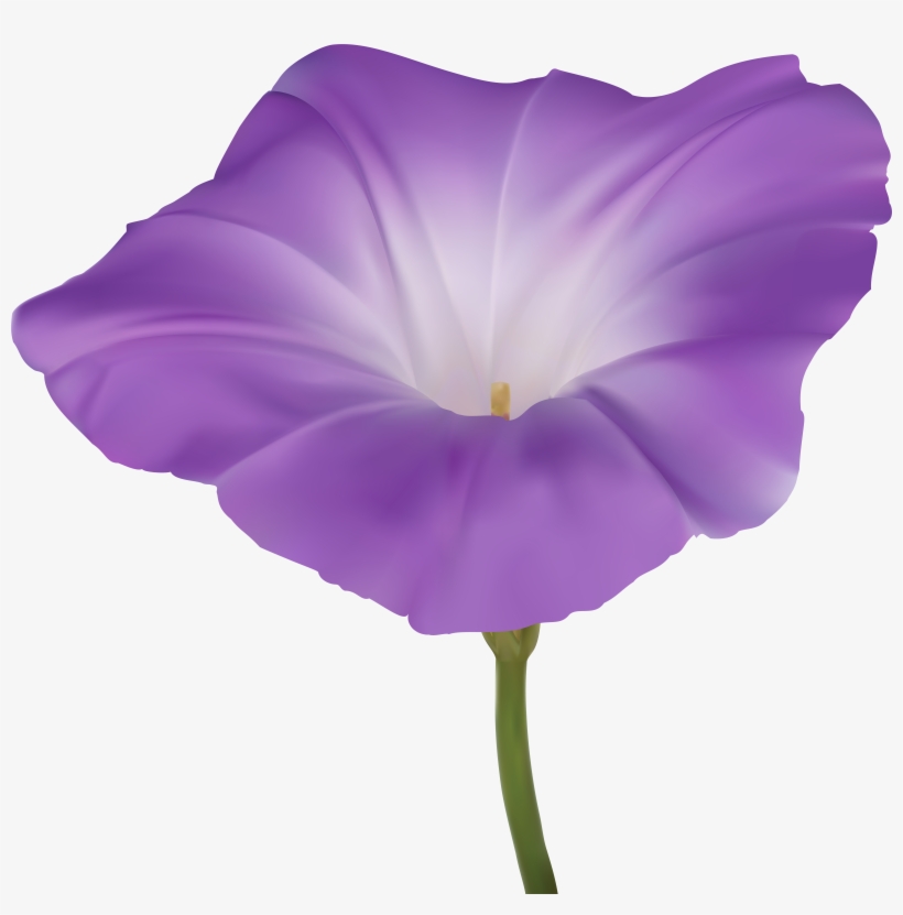 Morning Png, transparent png download