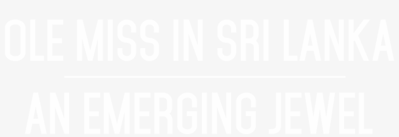Quotation About Following Rules, transparent png download