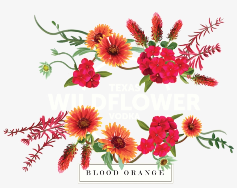 Blood Orange White 01, transparent png download