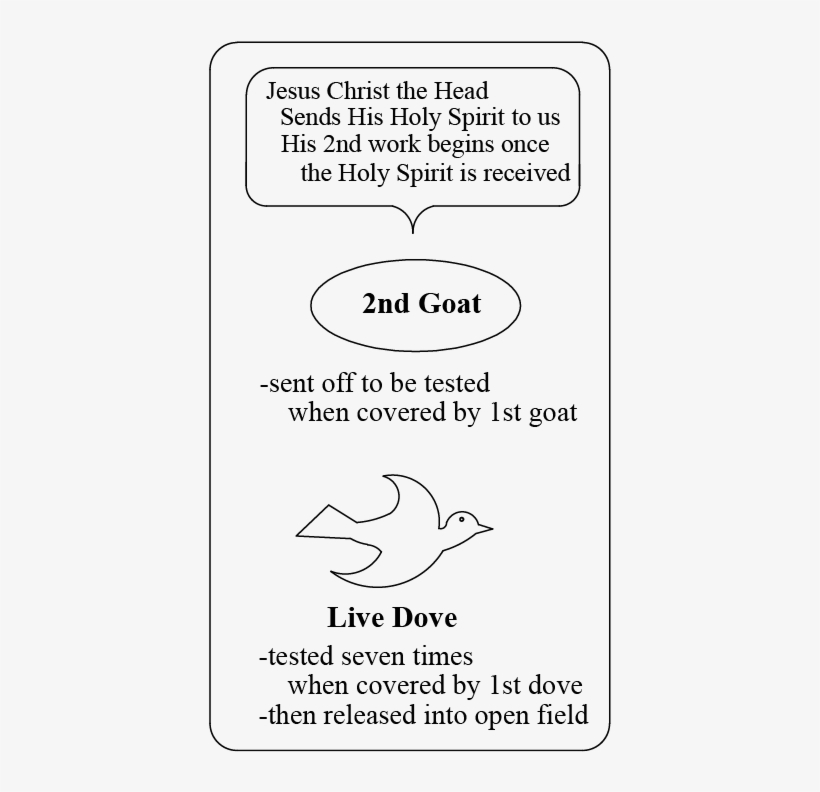 Lesson 9 Figure - Lesson, transparent png download