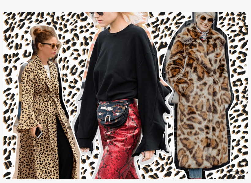 This Is How Bloggers Do It Ftg Magazine - Kaisercraft Into The Wild Texture Clear Stamp - Cheetah, transparent png download