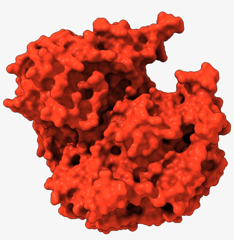 Heart, transparent png download