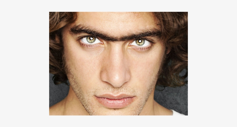 Connected Eyebrows - Gorilla Killa Warfare On Body Hair, transparent png download