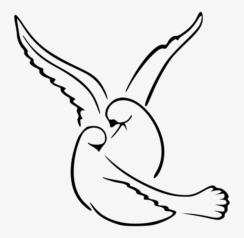 Birds-311964 960 720 - Save Birds In Uttrayan, transparent png download