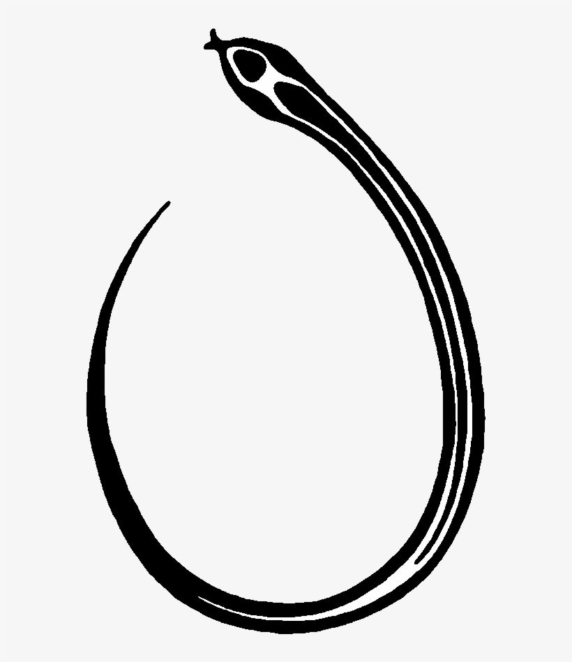 Snake By Darkmoonsphinx - Art, transparent png download