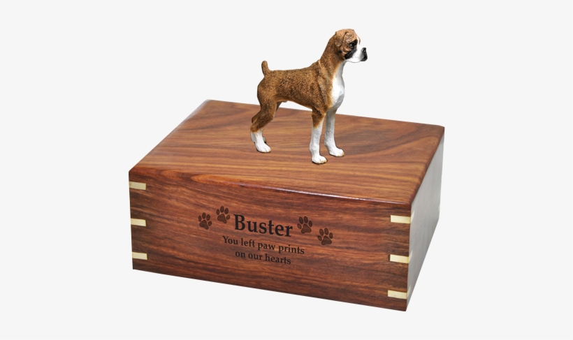 boxer dog urns