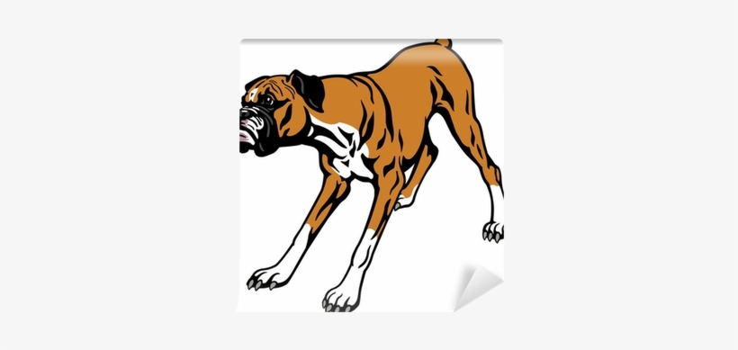 Boxer Dog Vector, transparent png download
