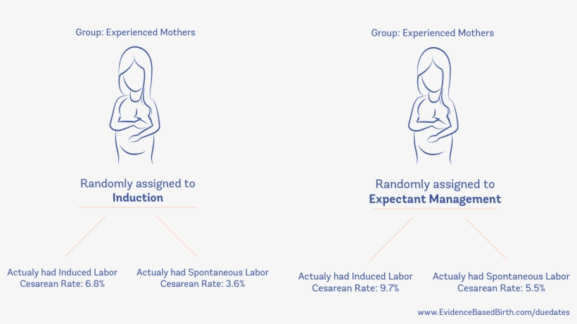 So What Do These Numbers Mean - Diagram, transparent png download
