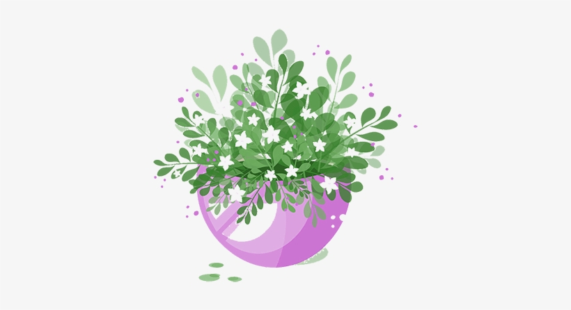 Product Sumarize - Flower In Pot, transparent png download