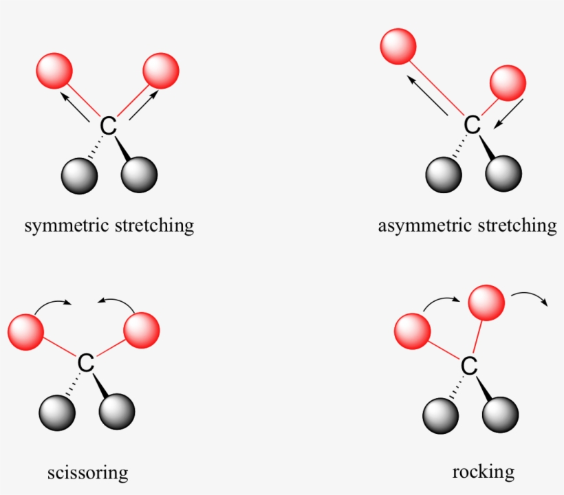Image008 - Molecular Vibrations, transparent png download