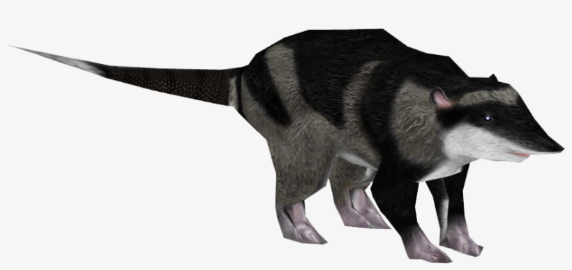 Water Opossum - American Bison, transparent png download