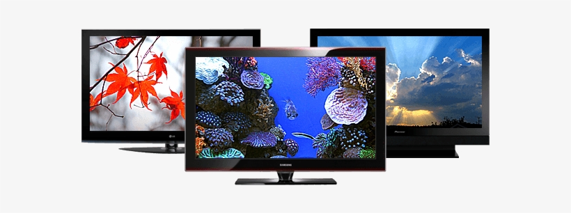 Buy Tv Chandler - Black And White Photography Flowers, transparent png download