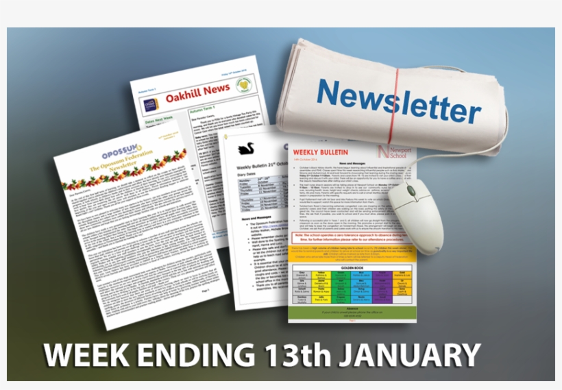 Our Latest Newsletters - Flyer, transparent png download