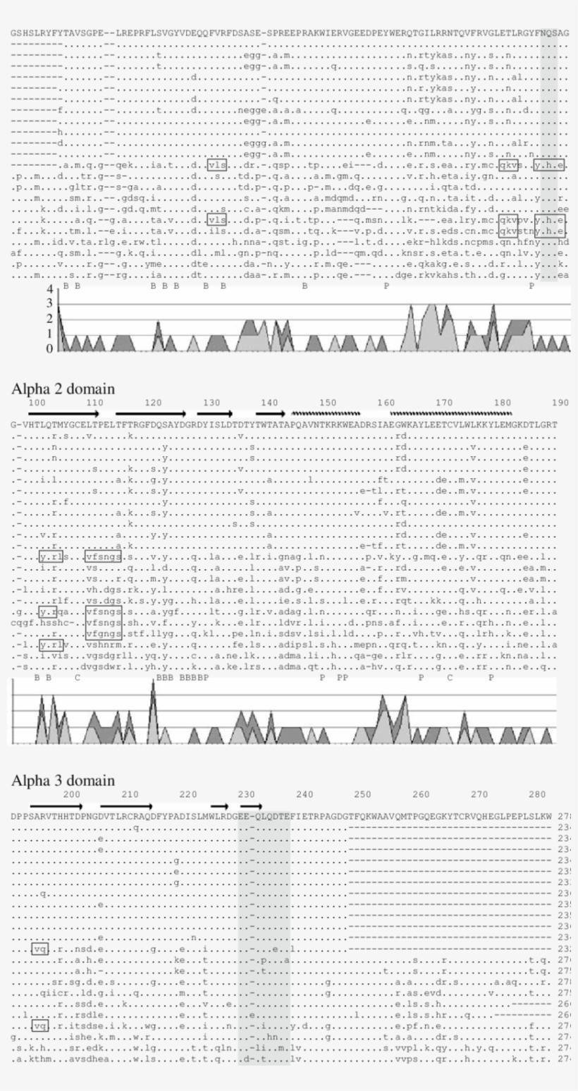 Alignment Of Deduced Amino Acid Class I Sequences Of - Document, transparent png download