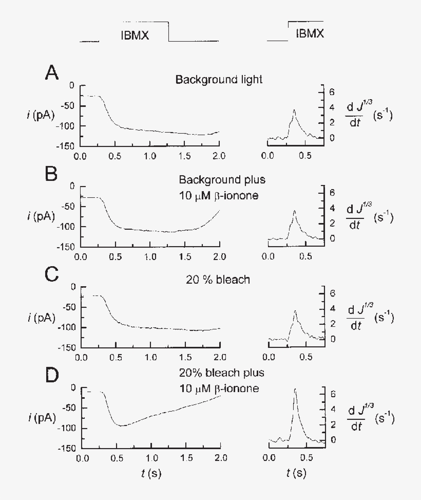 Comparison Of The Effects Of-ionone On Cyclase Rate - Diagram, transparent png download