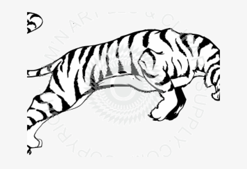 Tiger Clip Art, transparent png download