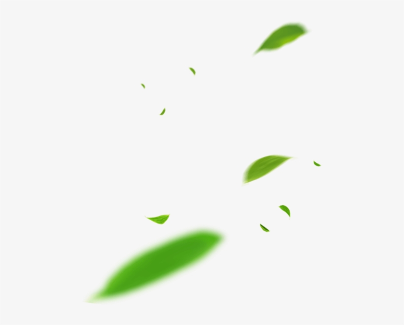 Employee Tug Of War Competition - Paradise Resort Xi'an, transparent png download