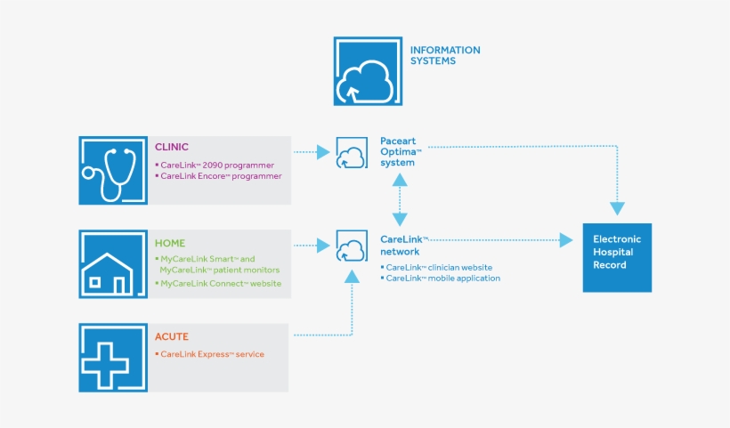 Ecosystem-graphic - Ecosystem, transparent png download