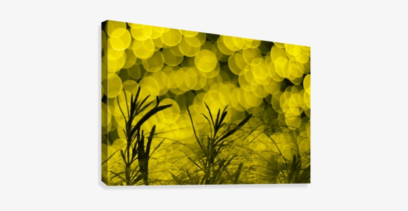 Brainwash Yellow Bokeh Canvas Print - Grass, transparent png download