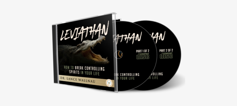 How To Break Controlling Spirits In Your Life - Stallion, transparent png download