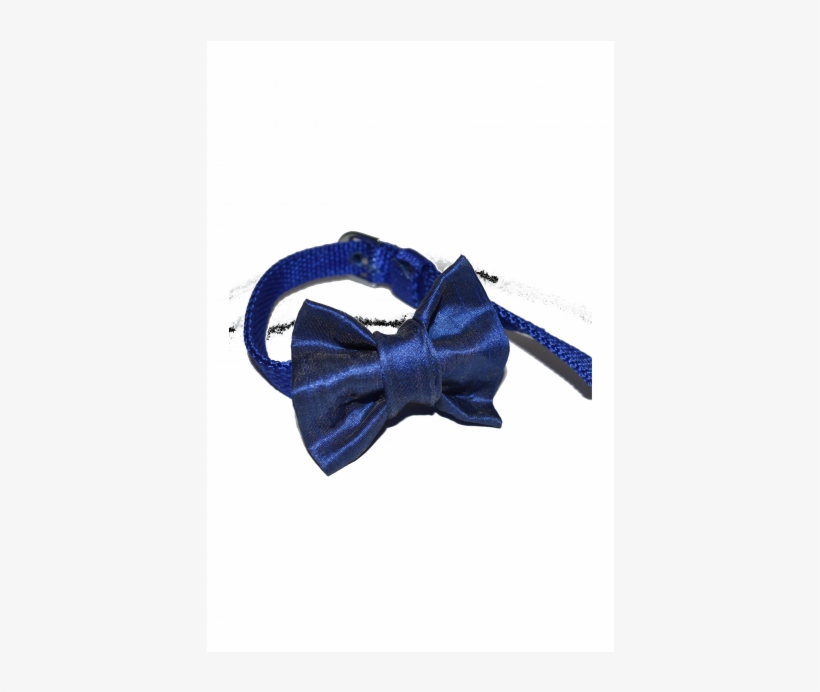 Satin, transparent png download