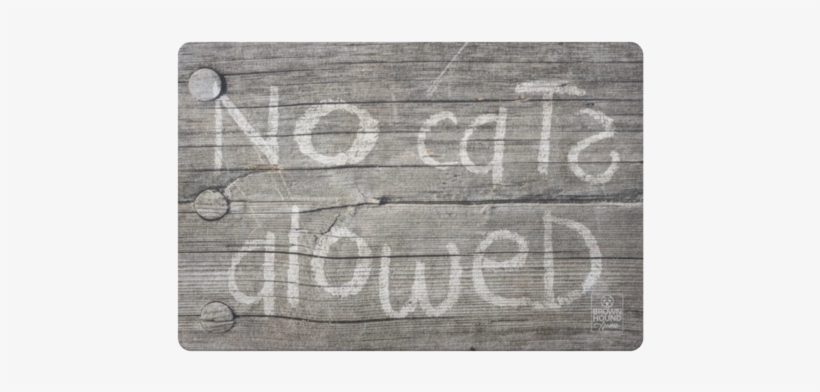 No Cats Alowed Door Mat - Door Mats, transparent png download