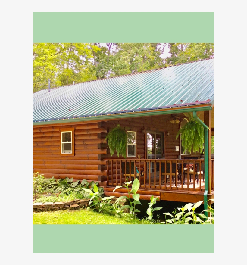 Forest Edge - Hocking Hills, transparent png download