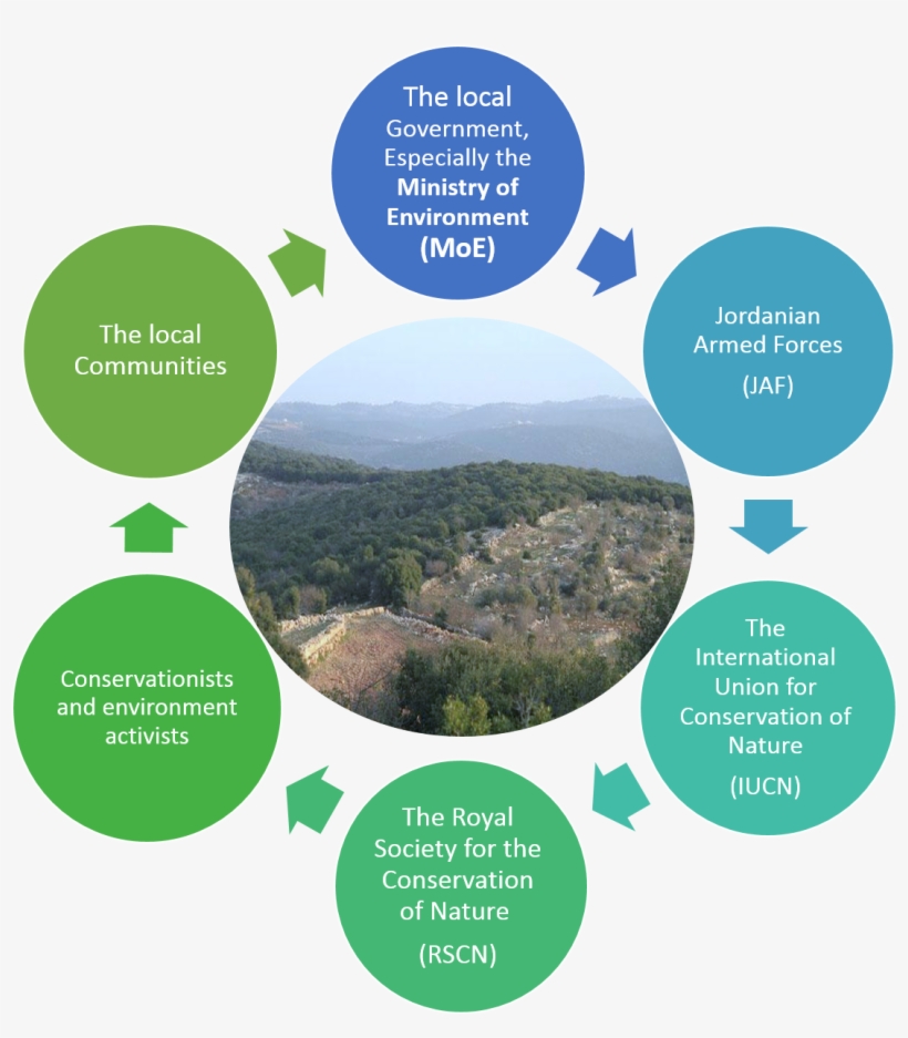 Key Actors - Seo Cycle, transparent png download