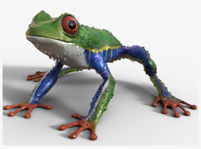 Tree Frog - Frog, transparent png download