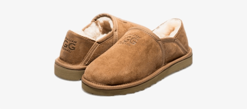 Clothes - Ugg, transparent png download
