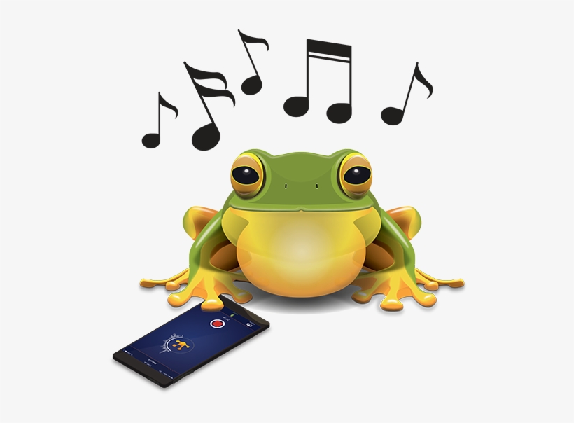 Download The Frogid App, Create A Frogid Account, Find, - True Frog, transparent png download