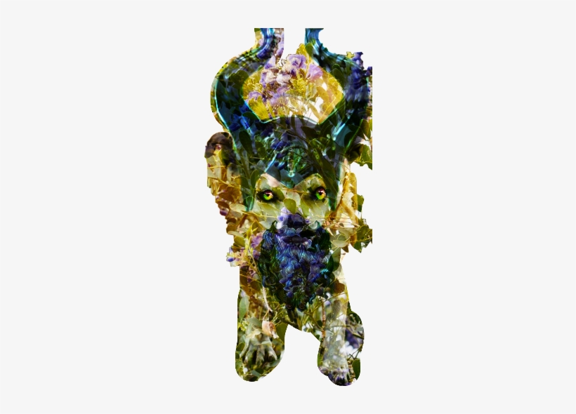 Schorns Horns Sophie Pet Slayer - Pet, transparent png download