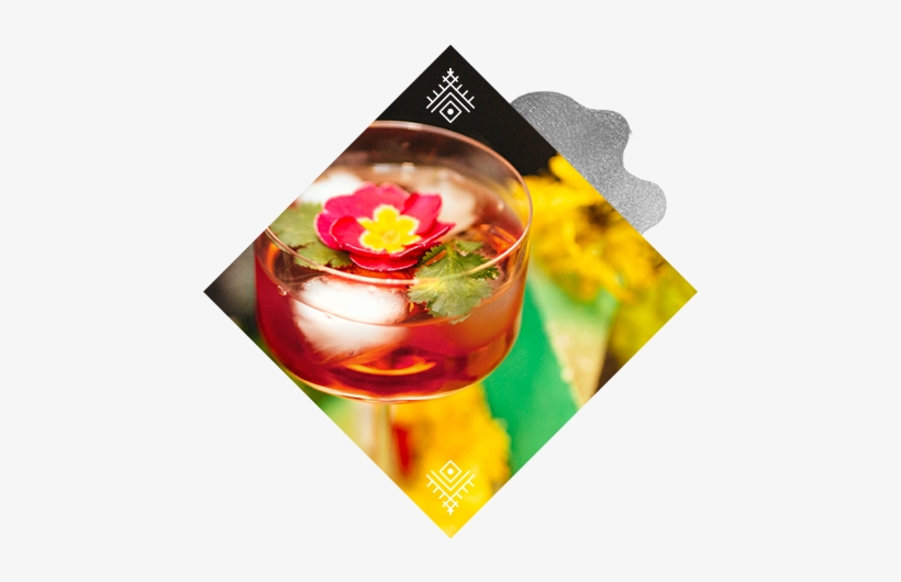 Twig Fizz - Fizz, transparent png download