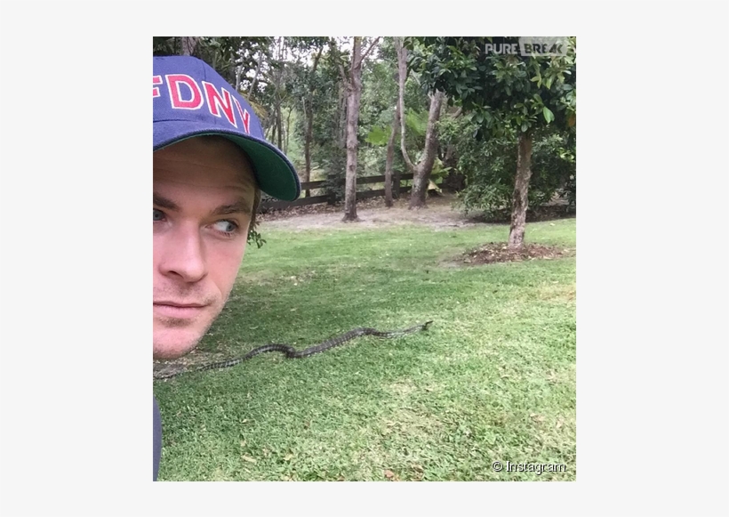 Chris Hemsworth, De "os Vingadores\ - Chris Hemsworth Pet Snake, transparent png download